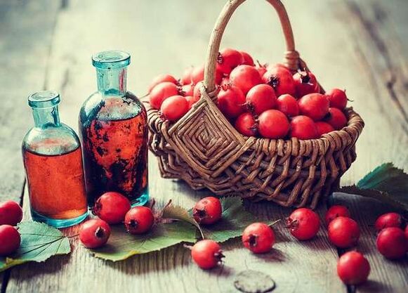 Hawthorn -Früchte, um ein Mitglied zu erhöhen